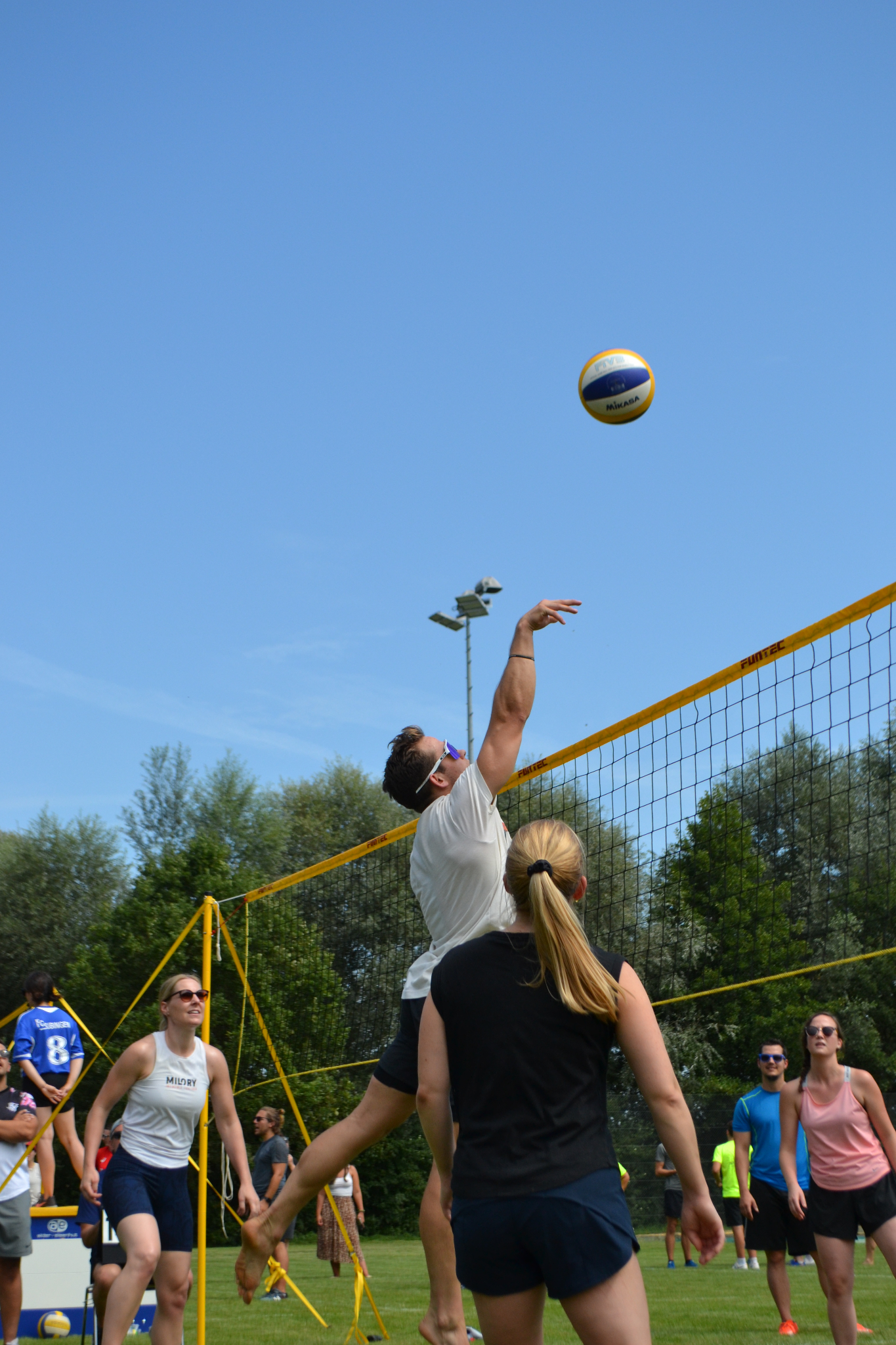 Bild (135)